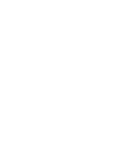 Irving Entertainment